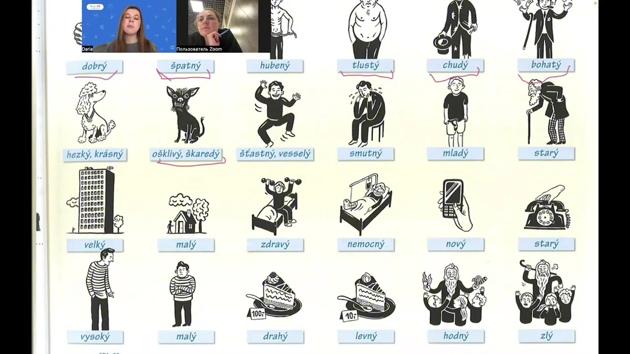 Video preview