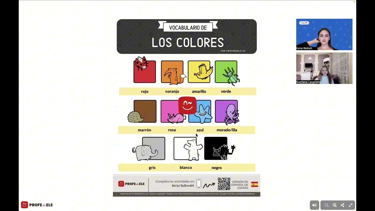 Video preview