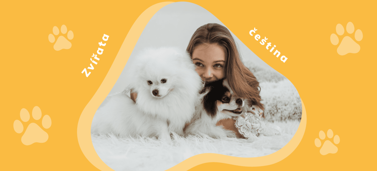 Тварини та домашні улюбленці чеською мовою (Zvířata) iamge