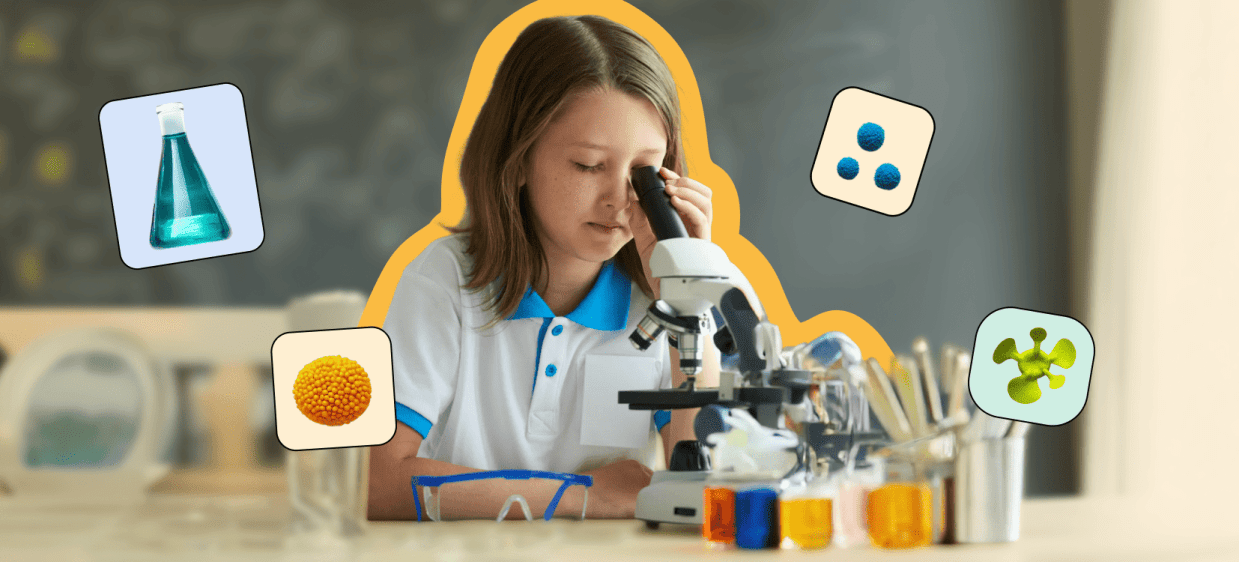 Будова клітини: типи, властивості, функції iamge