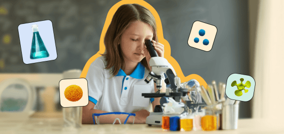 Будова клітини: типи, властивості, функції preview