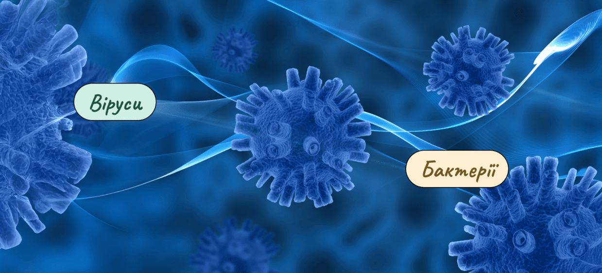 Віруси та бактерії: чим віруси відрізняються від бактерій? iamge