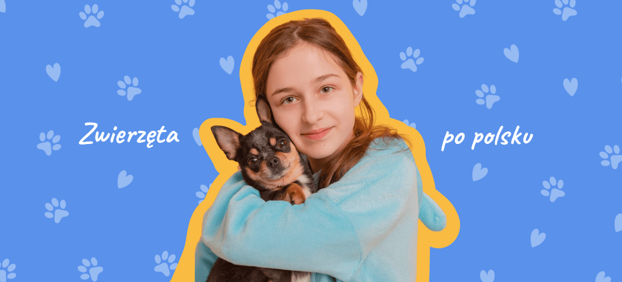 Тварини та домашні улюбленці польською мовою (Zwierzęta) iamge