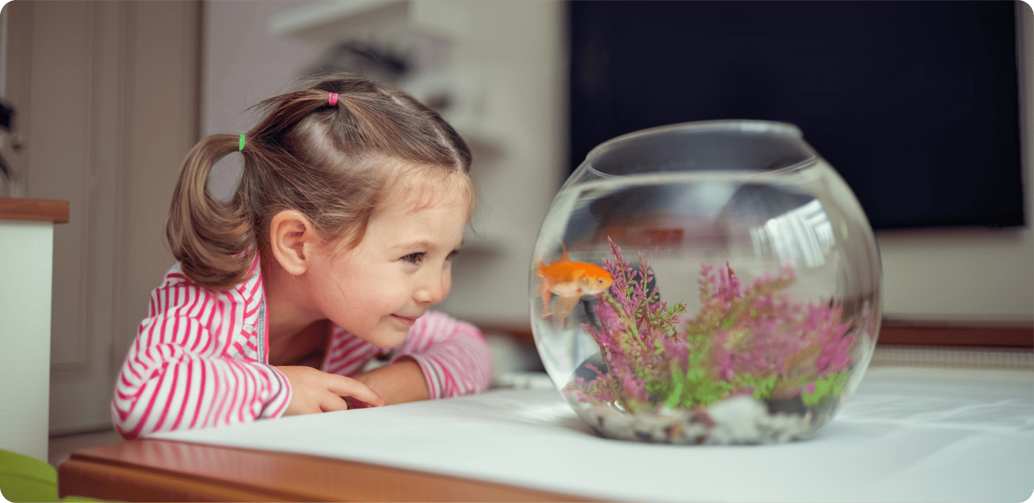 Текст про домашніх тварин чеською мовою: приклад