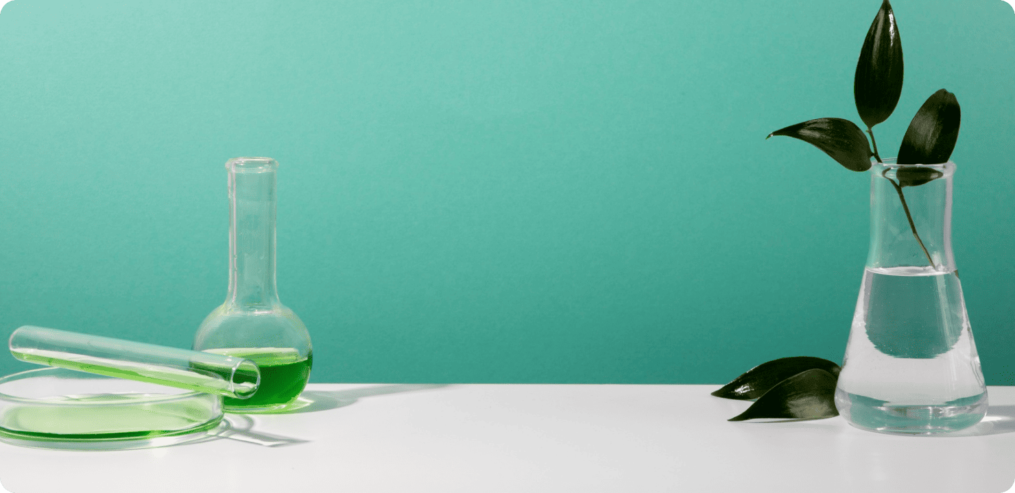 Будова клітини під мікроскопом