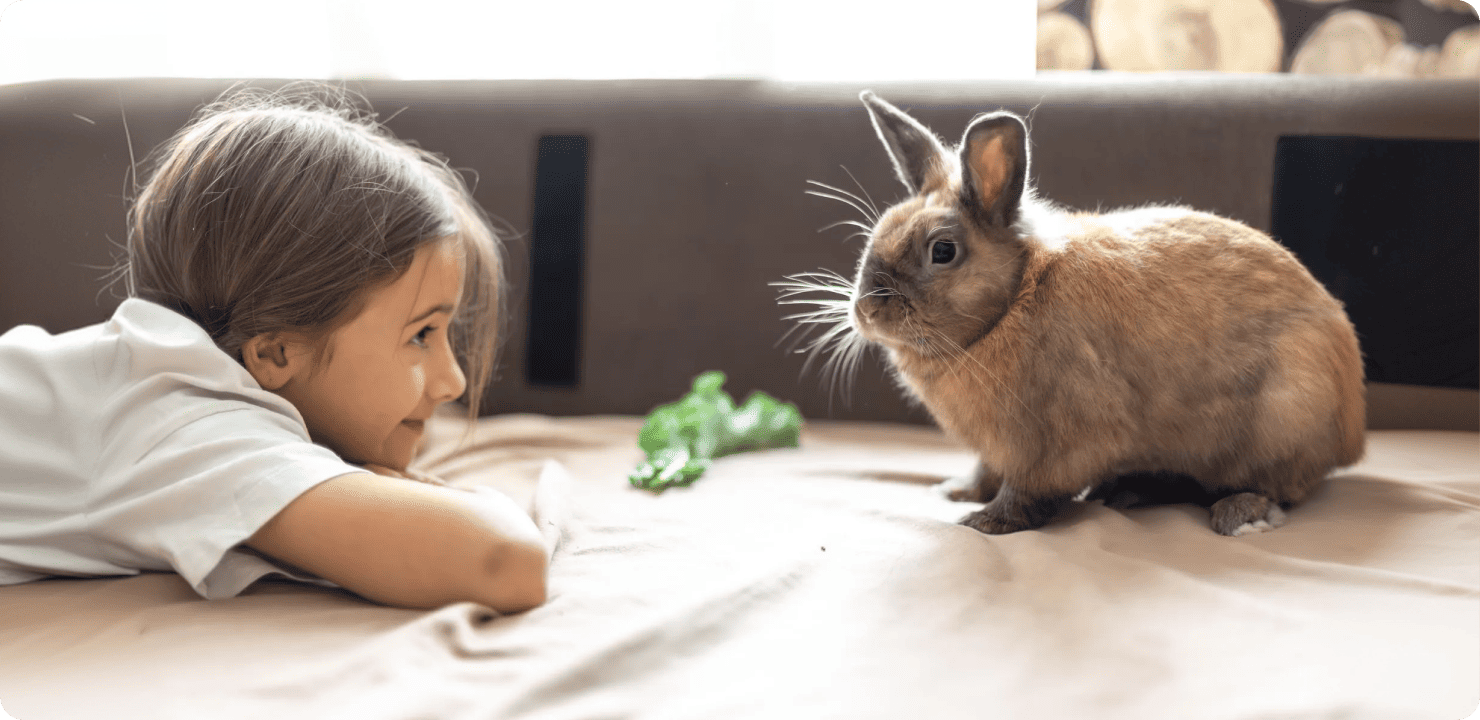 Текст про домашніх тварин польською мовою: приклад