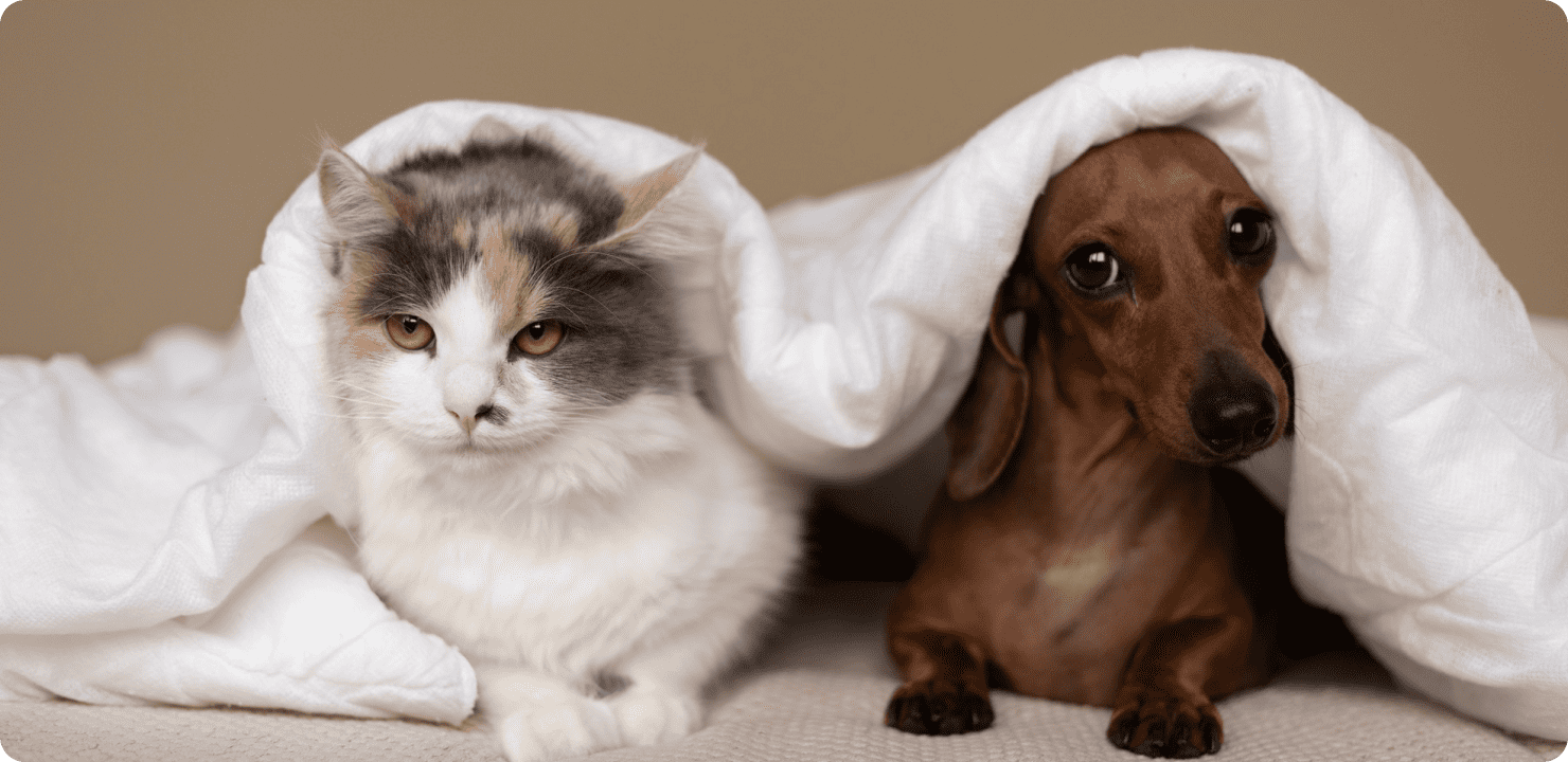 Список тварин польською мовою