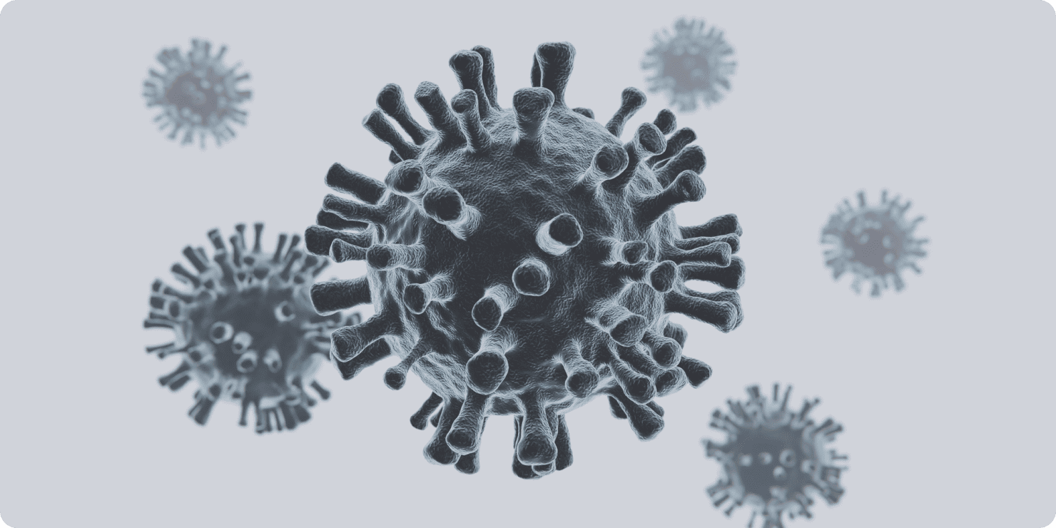 Все про бактерії: найважливіші факти